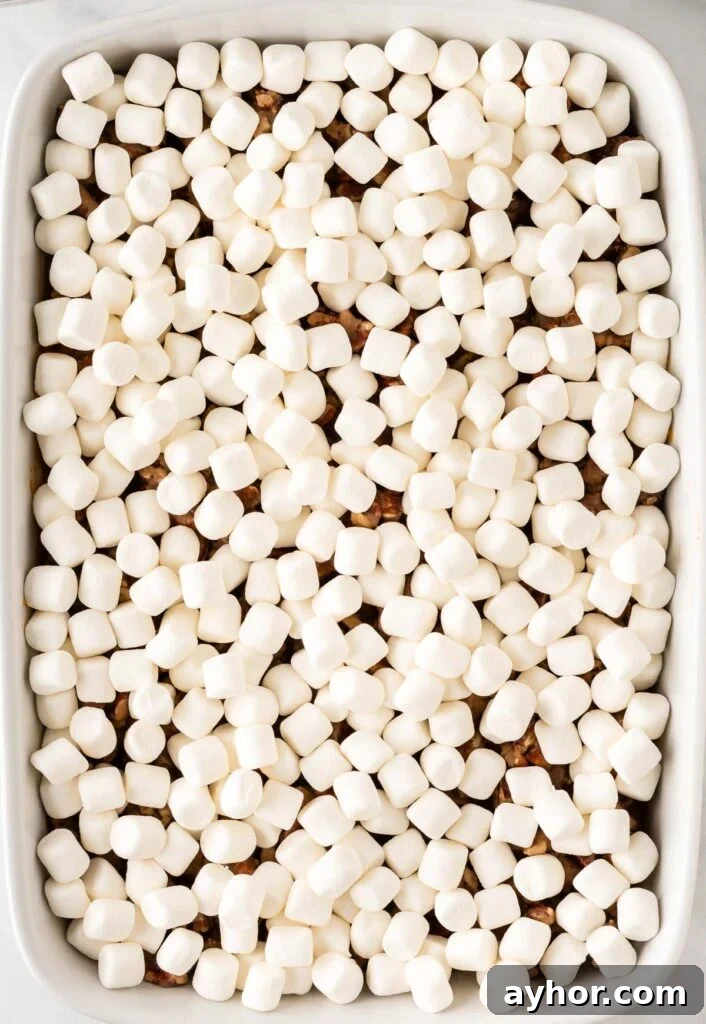 Creamy Sweet Potato Casserole with Toasted Marshmallows 16 sweet potato casserole with marshmallows on top