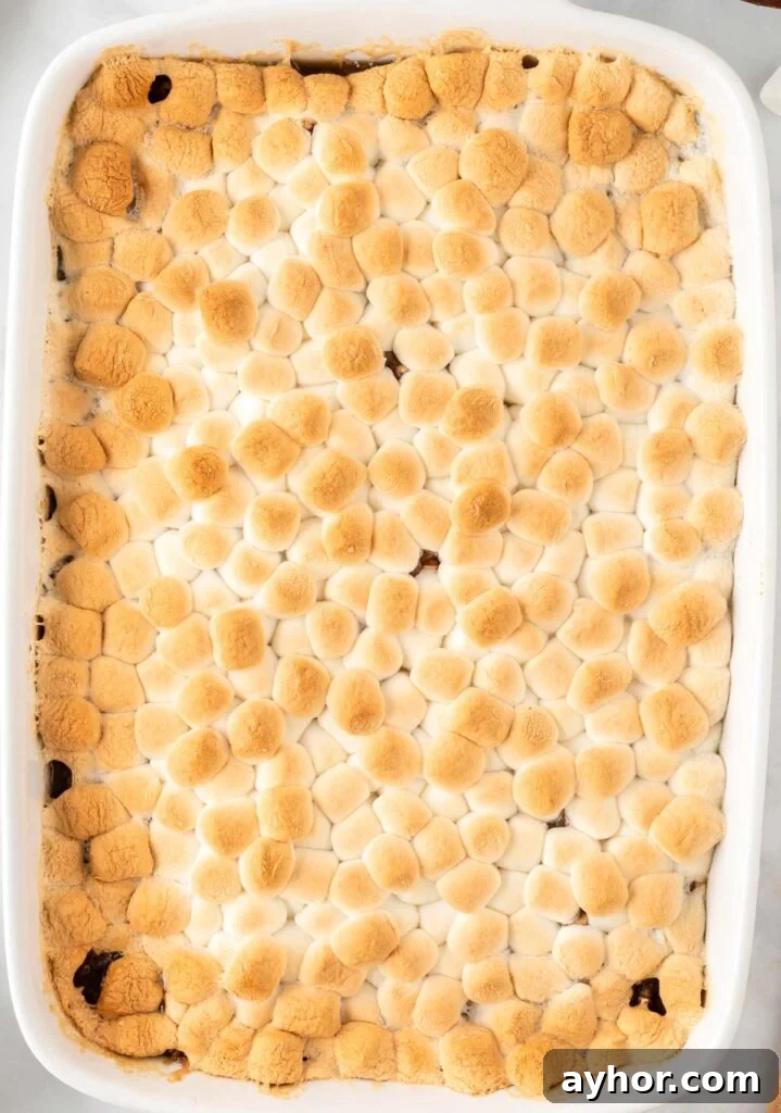 Creamy Sweet Potato Casserole with Toasted Marshmallows 17 baked sweet potato casserole with marshmallows