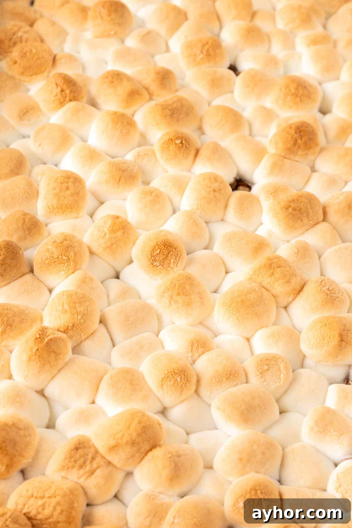 Creamy Sweet Potato Casserole with Toasted Marshmallows 3 sweet potato casserole with marshmallows
