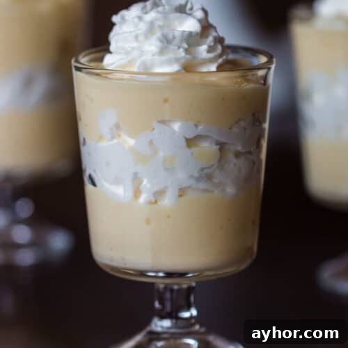Sugar-Free Keto Banana Pudding Recipe: Low-Carb Dessert 13 Keto Banana Pudding Recipe (Sugar Free Pudding)