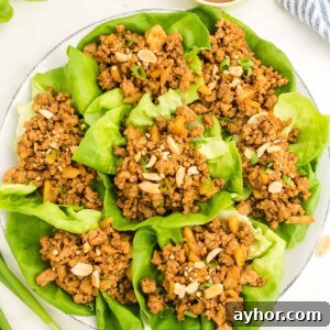 Savory Chicken Lettuce Wraps Recipe with Ginger and Soy 6 chicken lettuce wraps on a plate.