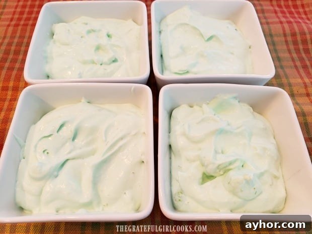 Chill before serving Mousse transferred to dessert dishes and chilled