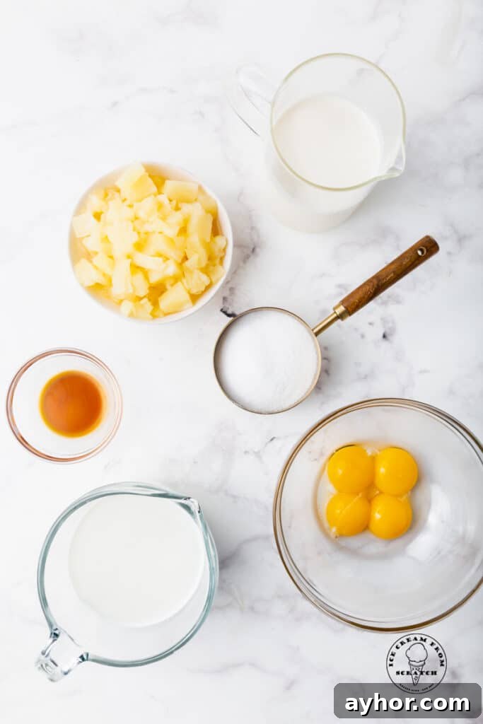 top down view of ingredients in pineapple ice cream