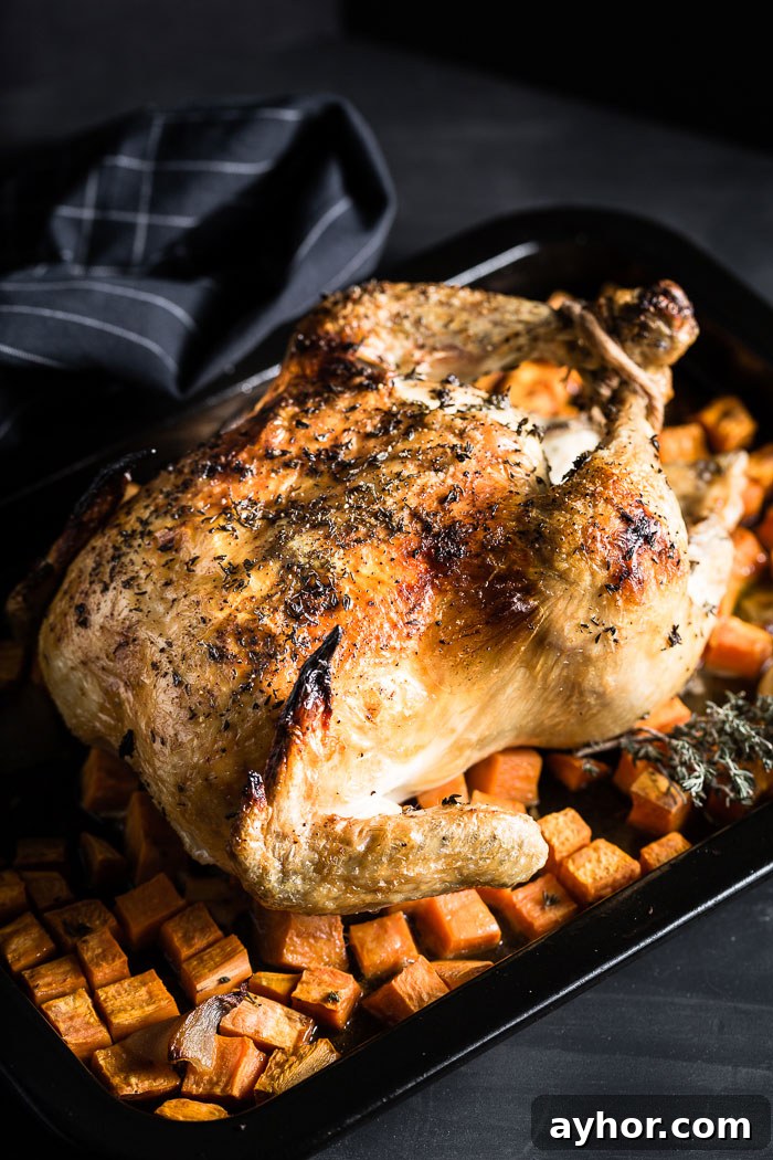 lemon-thyme roast chicken side view vertical