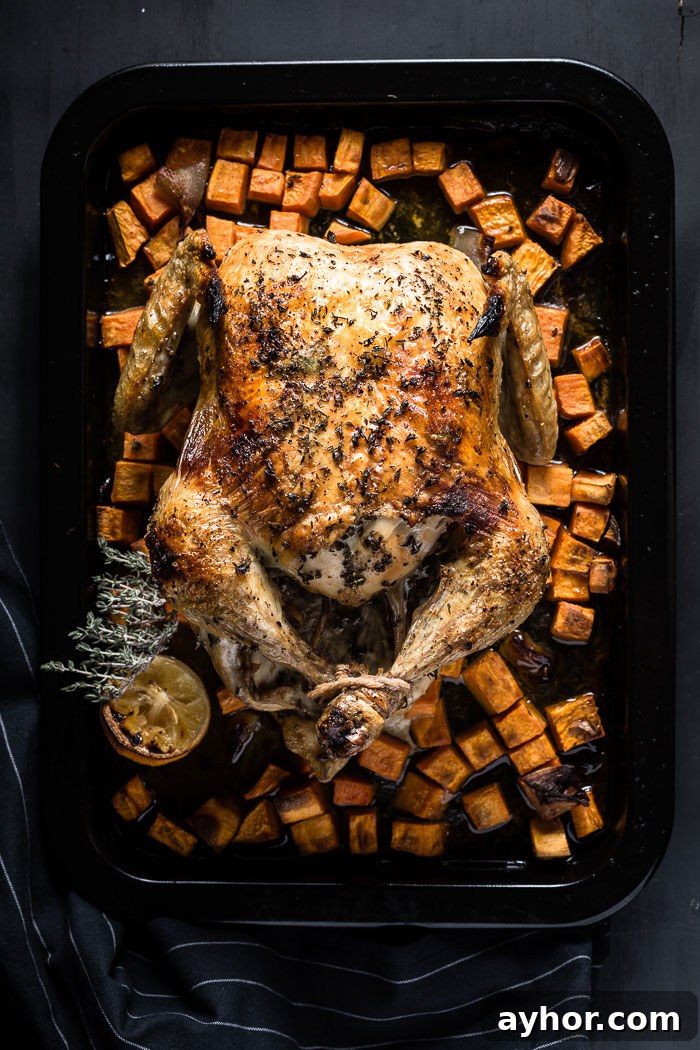 lemon-thyme roast chicken overhead vertical