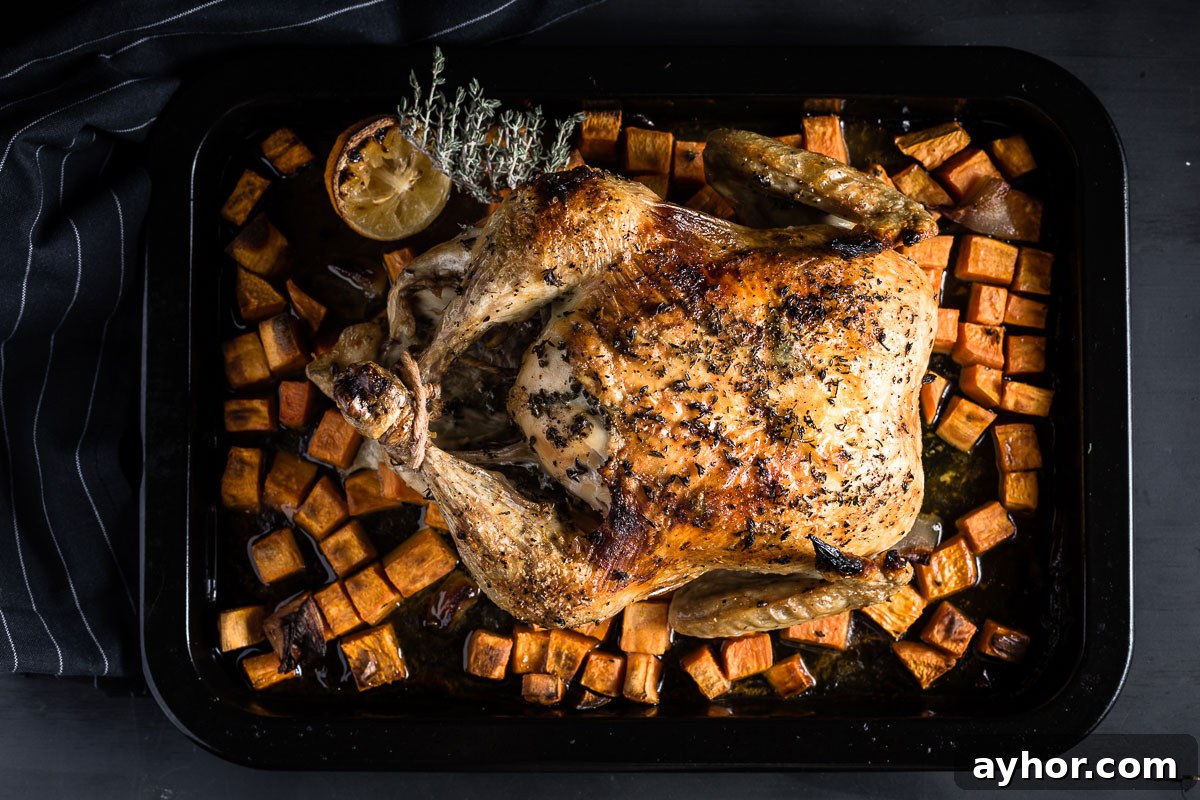 lemon-thyme roast chicken ovreahead view
