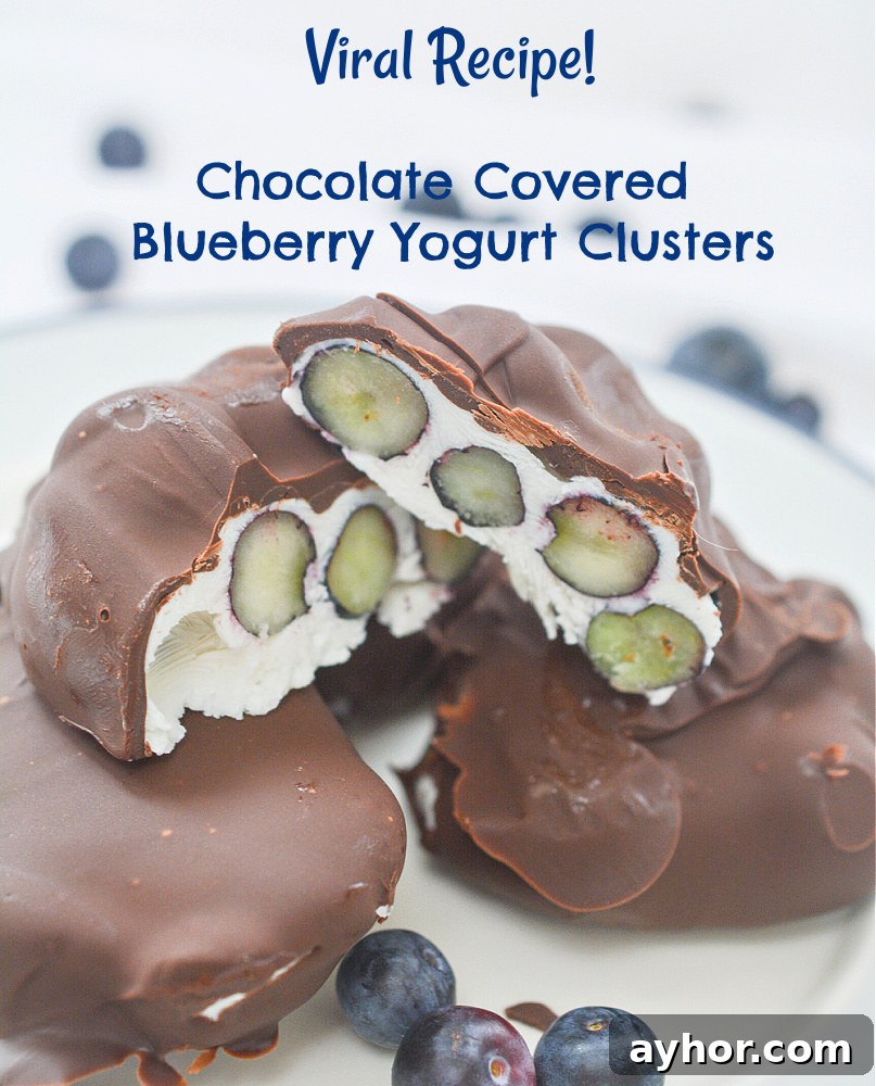 Chocolate-Covered Blueberry Yogurt Clusters Recipe 5 Finished clusters