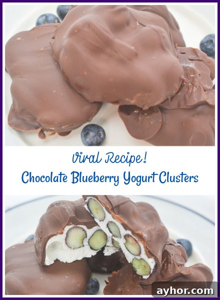 Chocolate-Covered Blueberry Yogurt Clusters Recipe 7 Stack of clusters