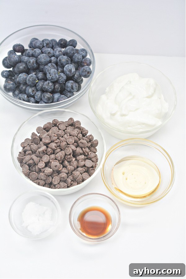 Chocolate-Covered Blueberry Yogurt Clusters Recipe 3 Yogurt clusters on tray