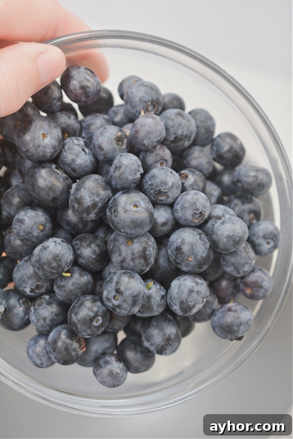 Chocolate-Covered Blueberry Yogurt Clusters Recipe 4 Dipping clusters in chocolate