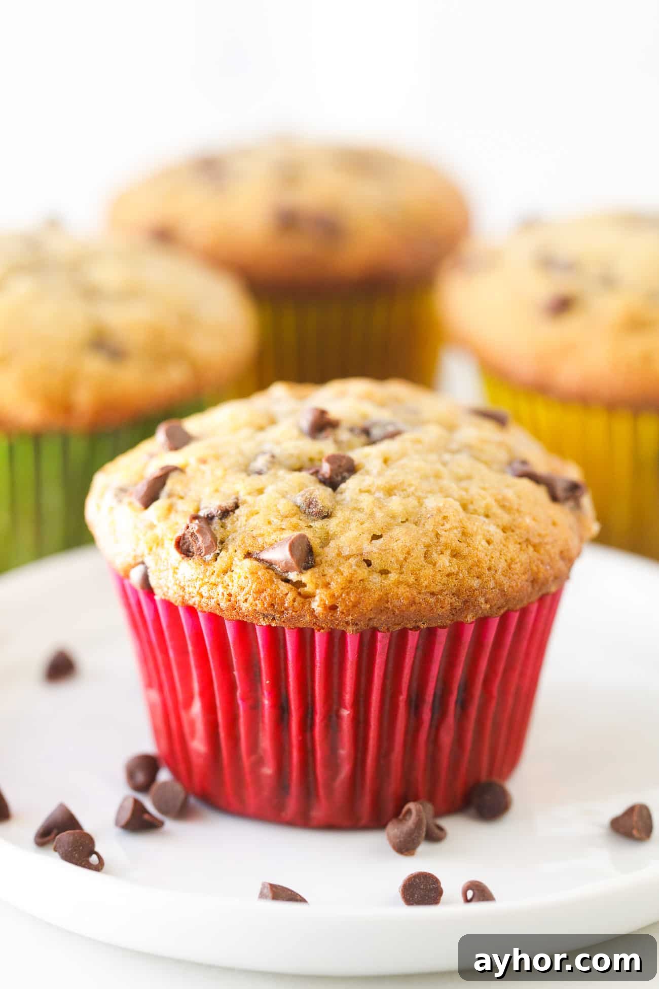 Chocolate Chip Banana Muffins Recipe