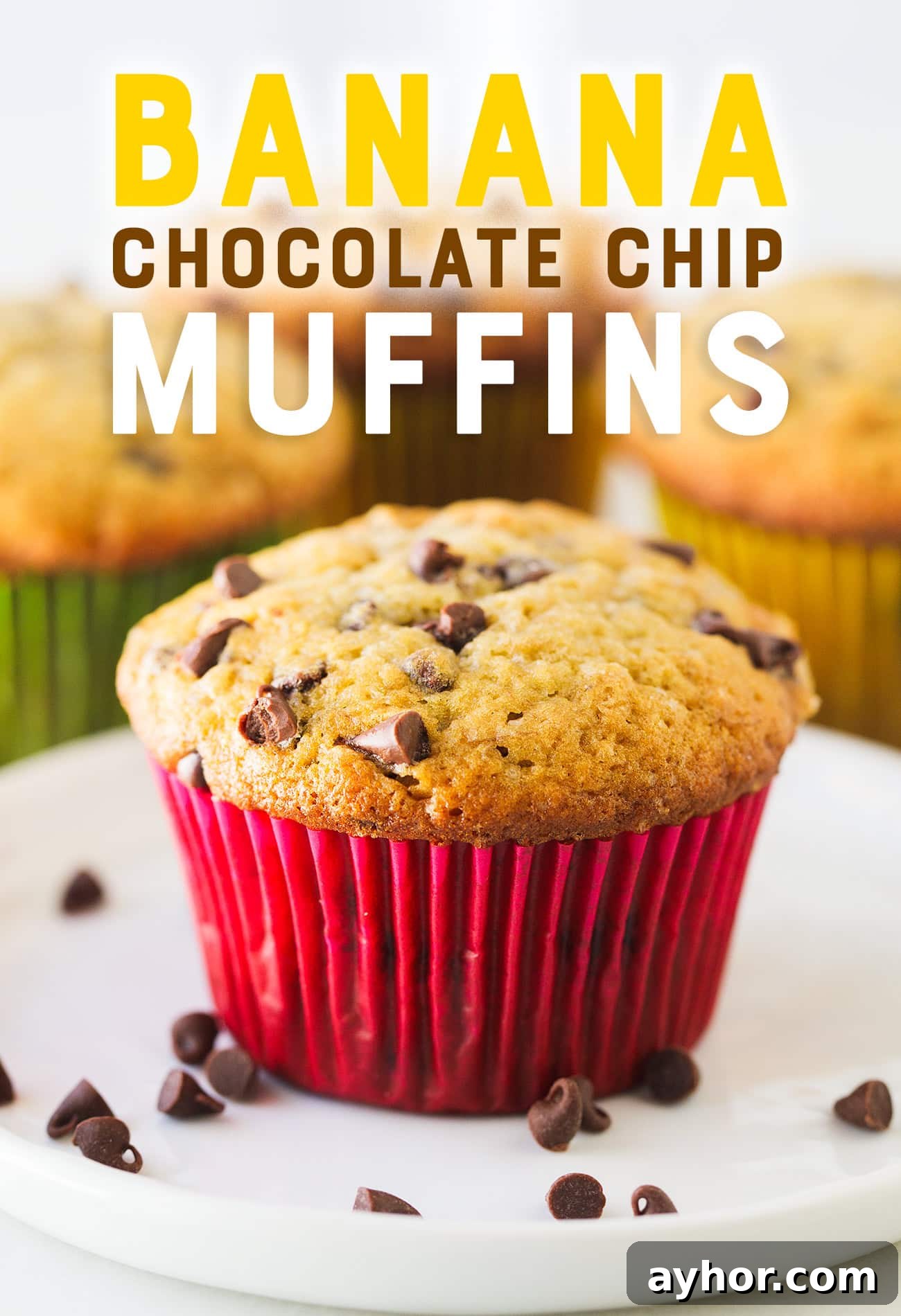 Banana Chocolate Chip Muffins