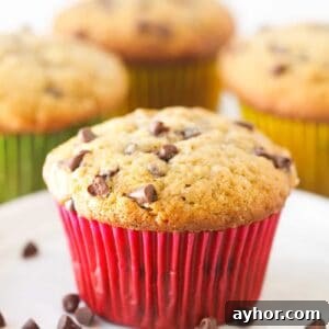 Chocolate Chip Banana Muffins Recipe