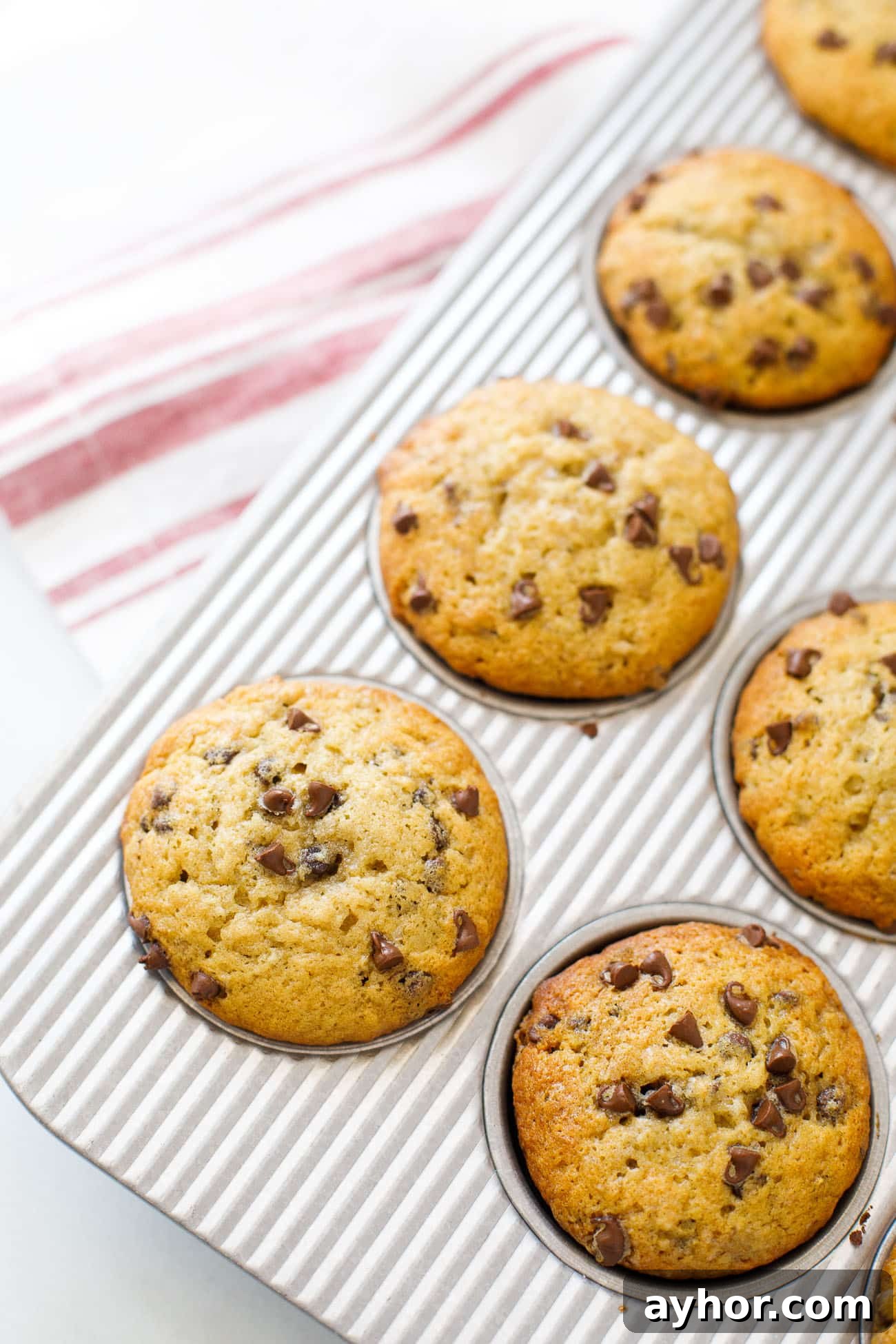 Banana Chocolate Chip Muffins