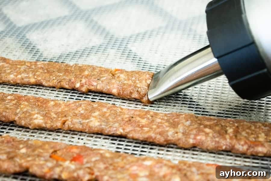 Coconut-Infused Ground Beef Jerky 8 ground jerky strips on dehydrator