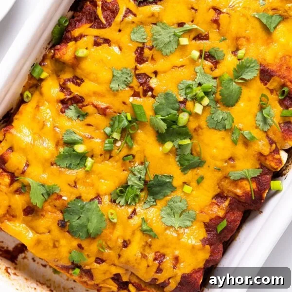 Creamy Chicken Enchiladas with Melted Cheese and Green Sauce 6 Top down view of white baking dish filled with chicken enchiladas topped with cheese and cilantro all sitting on white countertop