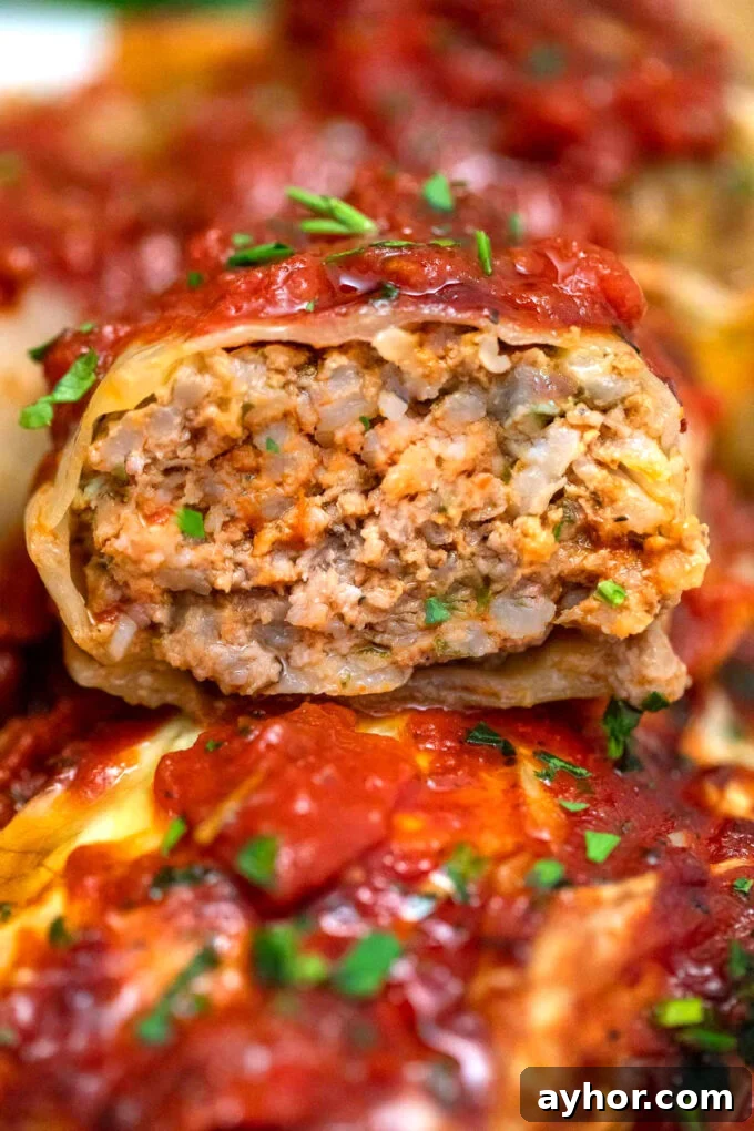 Comforting Stuffed Cabbage Rolls with Savory Tomato Sauce 15 photo of stuffed cabbage roll