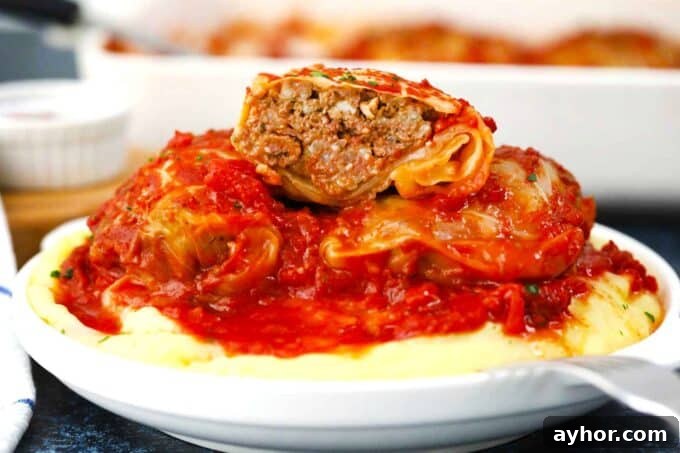 Comforting Stuffed Cabbage Rolls with Savory Tomato Sauce 4 Polish stuffed cabbage rolls on top of mashed potatoes