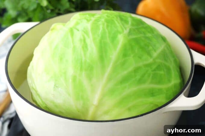 Comforting Stuffed Cabbage Rolls with Savory Tomato Sauce 8 boiling a head of cabbage