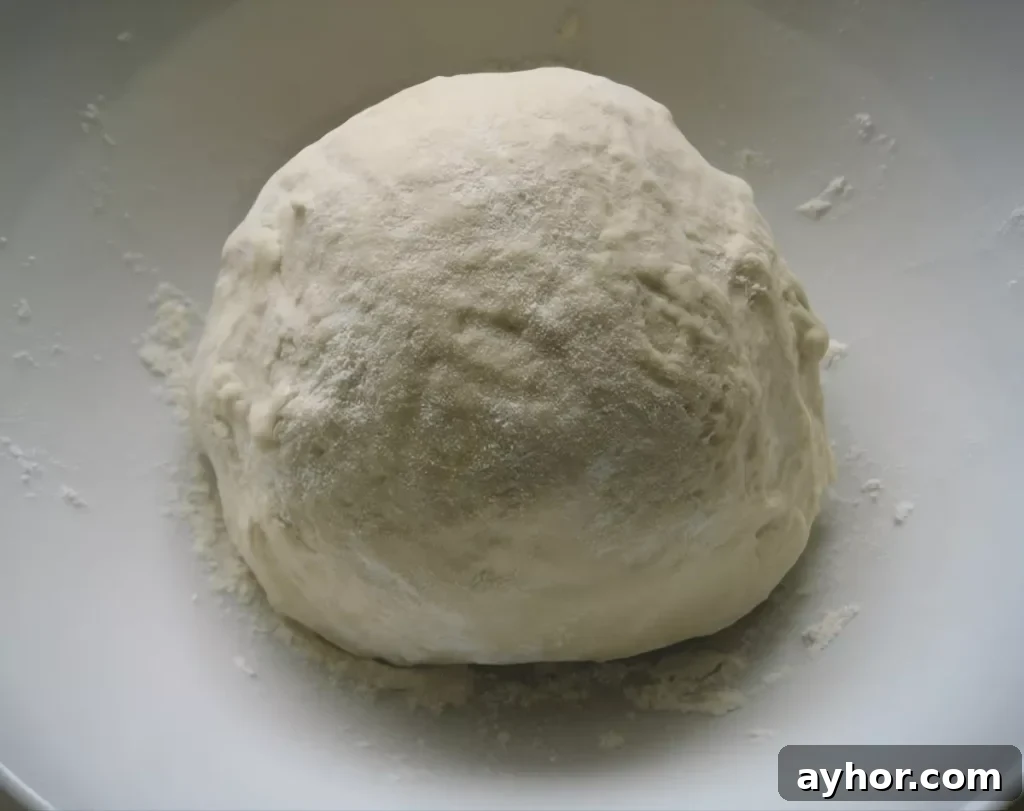 How to Make Homemade Pizza Dough from Scratch 5 Homemade pizza dough shaped into a ball.