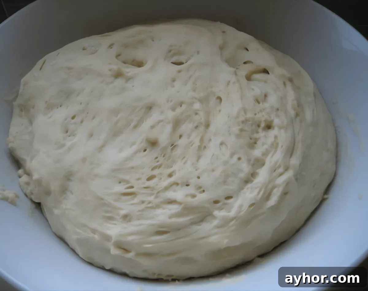 How to Make Homemade Pizza Dough from Scratch 6 Homemade pizza dough after rising in a bowl.