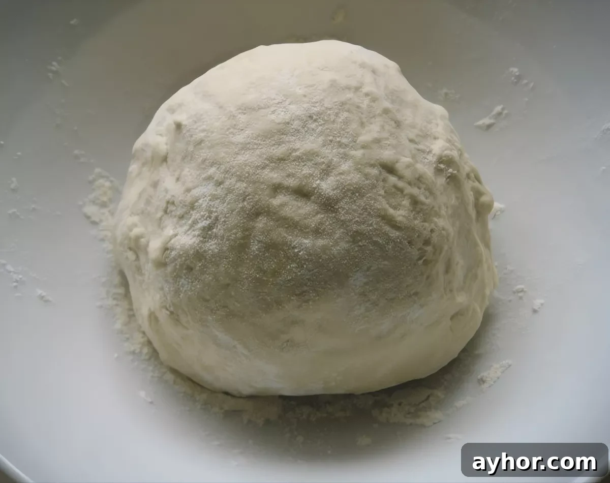 Homemade pizza dough after rising in a bowl.