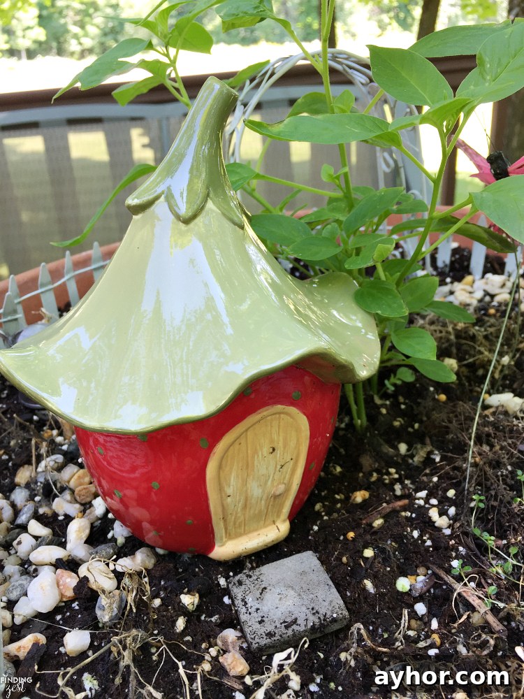 Learn how to build a fairy garden with kids in clay pots. This kids activity is a great opportunity to teach about plants while having fun! Learn how to make both styles including a fairy garden scene with butterflies and a gnome house with broken pot rock steps.