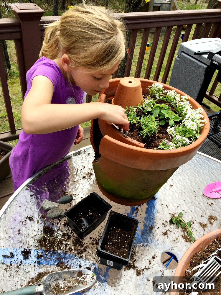Learn how to build a fairy garden with kids in clay pots. This kids activity is a great opportunity to teach about plants while having fun! Learn how to make both styles including a fairy garden scene with butterflies and a gnome house with broken pot rock steps.