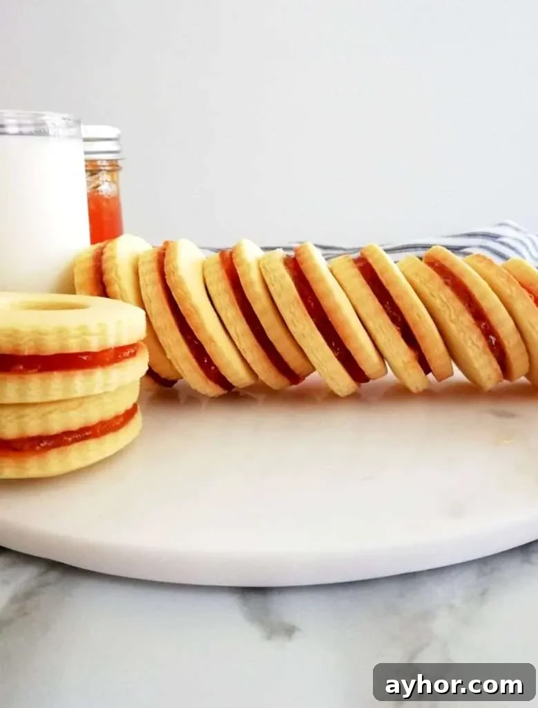 apricot jam filled sandwich cookies lined up sideways
