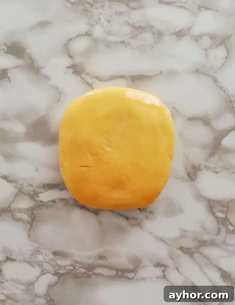 apricot jam filled sandwich cookie dough wrapped in plastic wrap