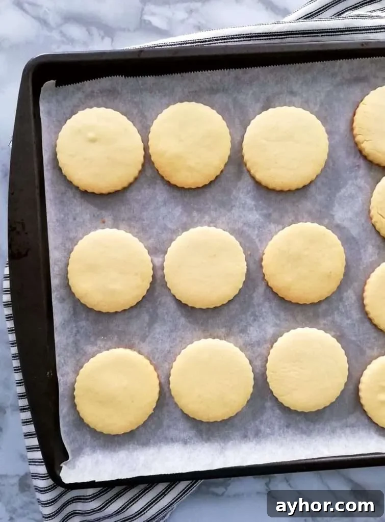 apricot jam filled sandwich cookies baked cookies without center hole