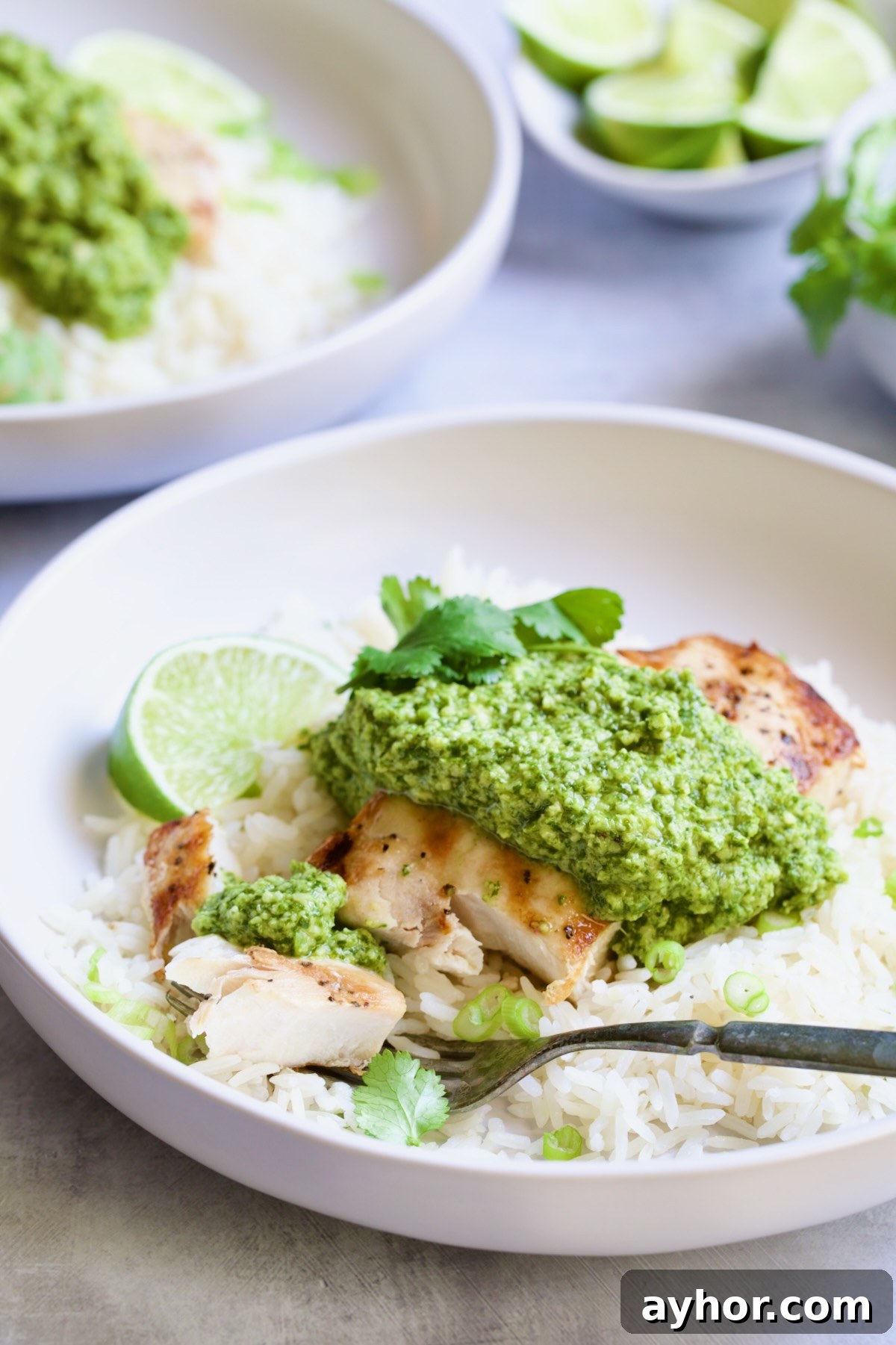 Grilled Mahi Mahi with Cilantro-Ginger Pesto Recipe 12 Mahi-Mahi with Cilantro - Ginger Pesto in white bowl with a piece cut off with a fork.