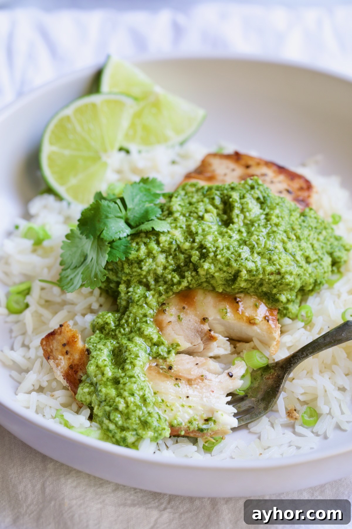Grilled Mahi Mahi with Cilantro-Ginger Pesto Recipe 3 Piece of Mahi-Mahi with Cilantro - Ginger Pesto on a fork.