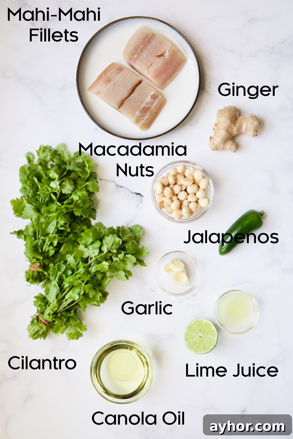 Grilled Mahi Mahi with Cilantro-Ginger Pesto Recipe 4 Ingredients for Mahi-Mahi with Cilantro - Ginger Pesto.