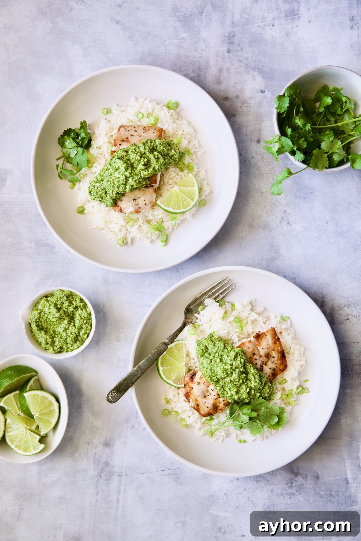 Grilled Mahi Mahi with Cilantro-Ginger Pesto Recipe 10 Two plates of Mahi-Mahi with Cilantro - Ginger Pesto on jasmine rice.