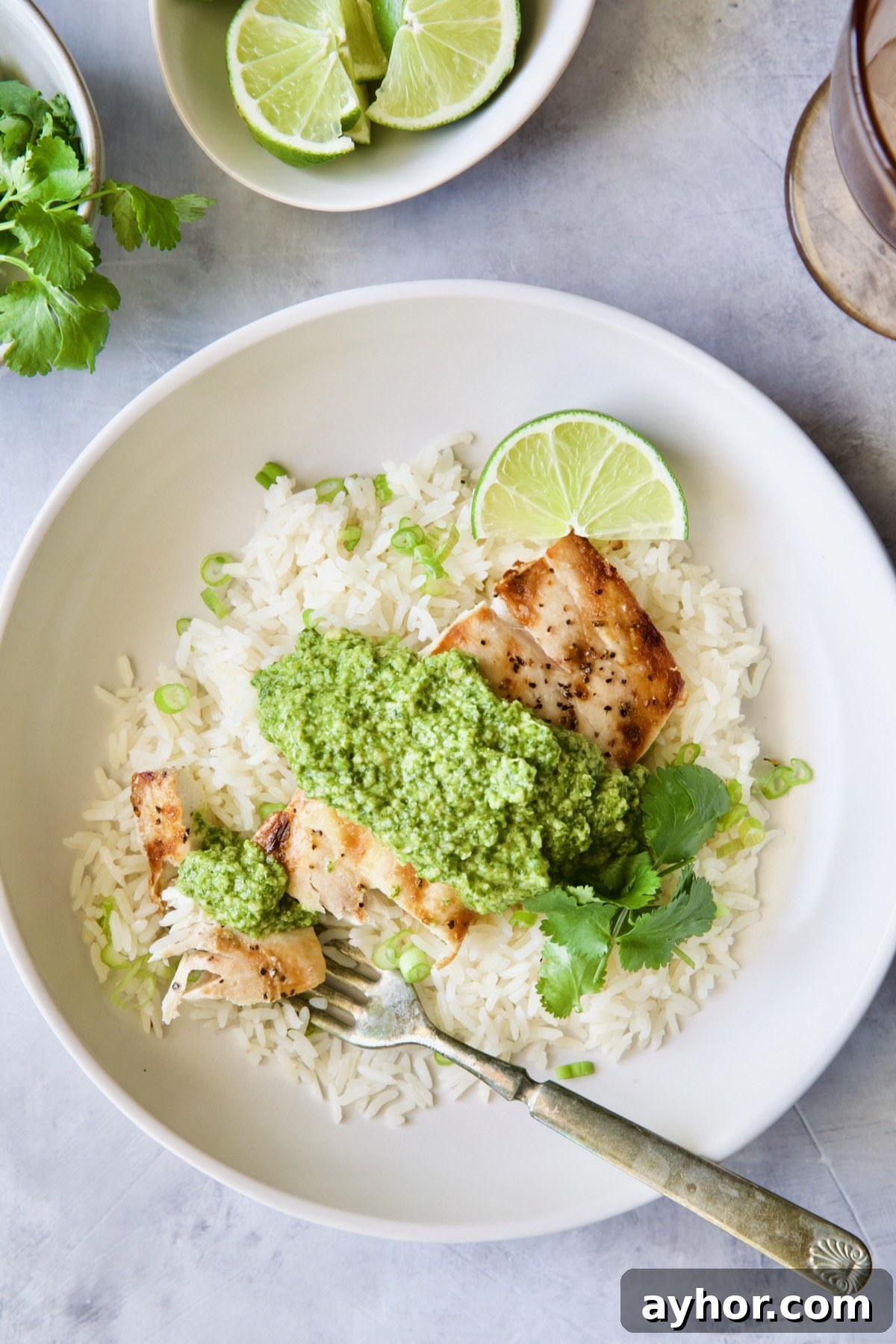 Grilled Mahi Mahi with Cilantro-Ginger Pesto Recipe 11 One plate of Mahi-Mahi with Cilantro - Ginger Pesto on jasmine rice.