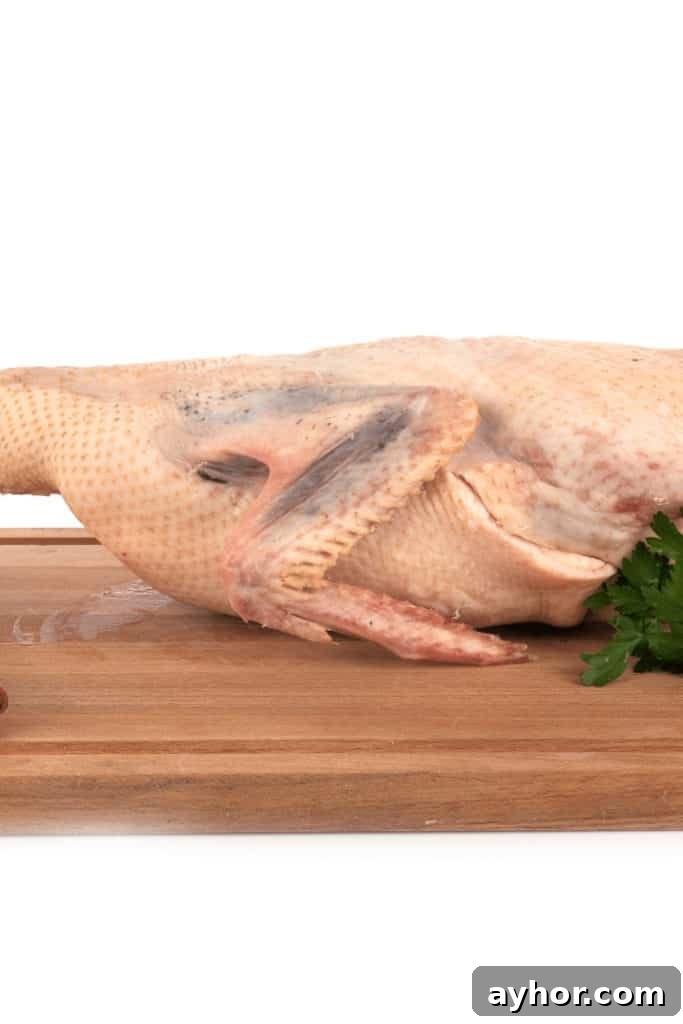 How Much Does a Whole Duck Cost? Price Guide and Buying Tips 3 Uncooked duck costs around $24