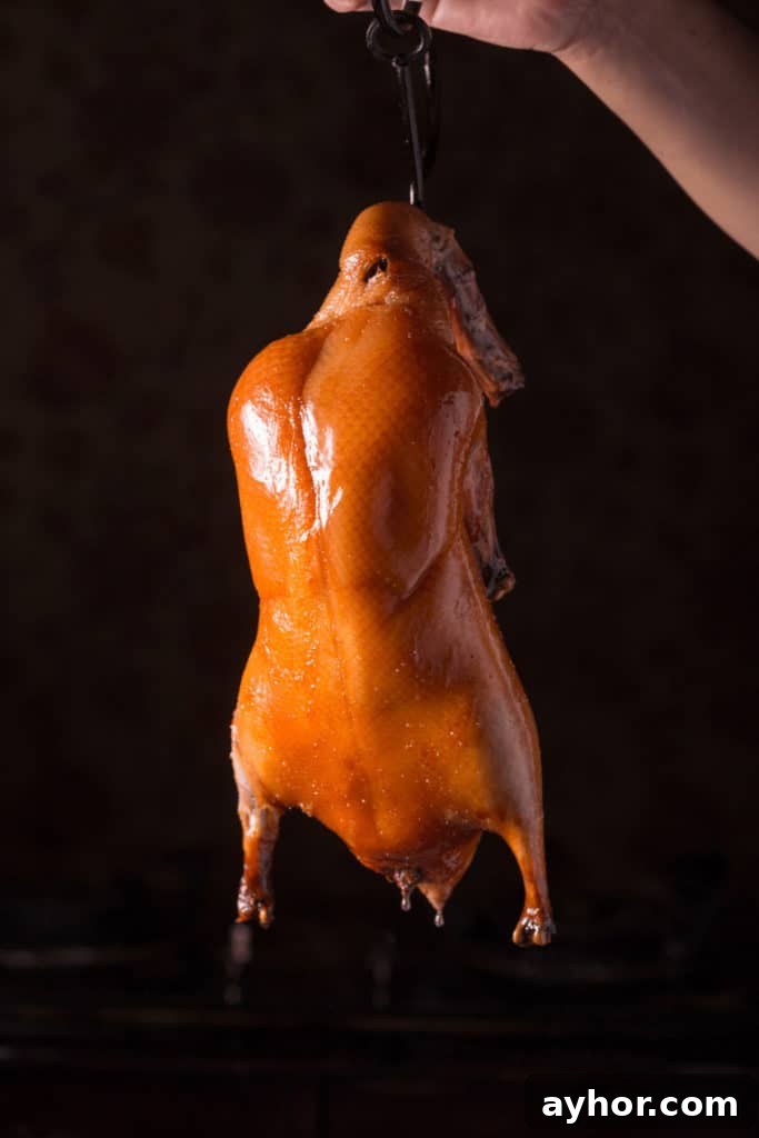 How Much Does a Whole Duck Cost? Price Guide and Buying Tips 5 A whole Peking duck costs around $70
