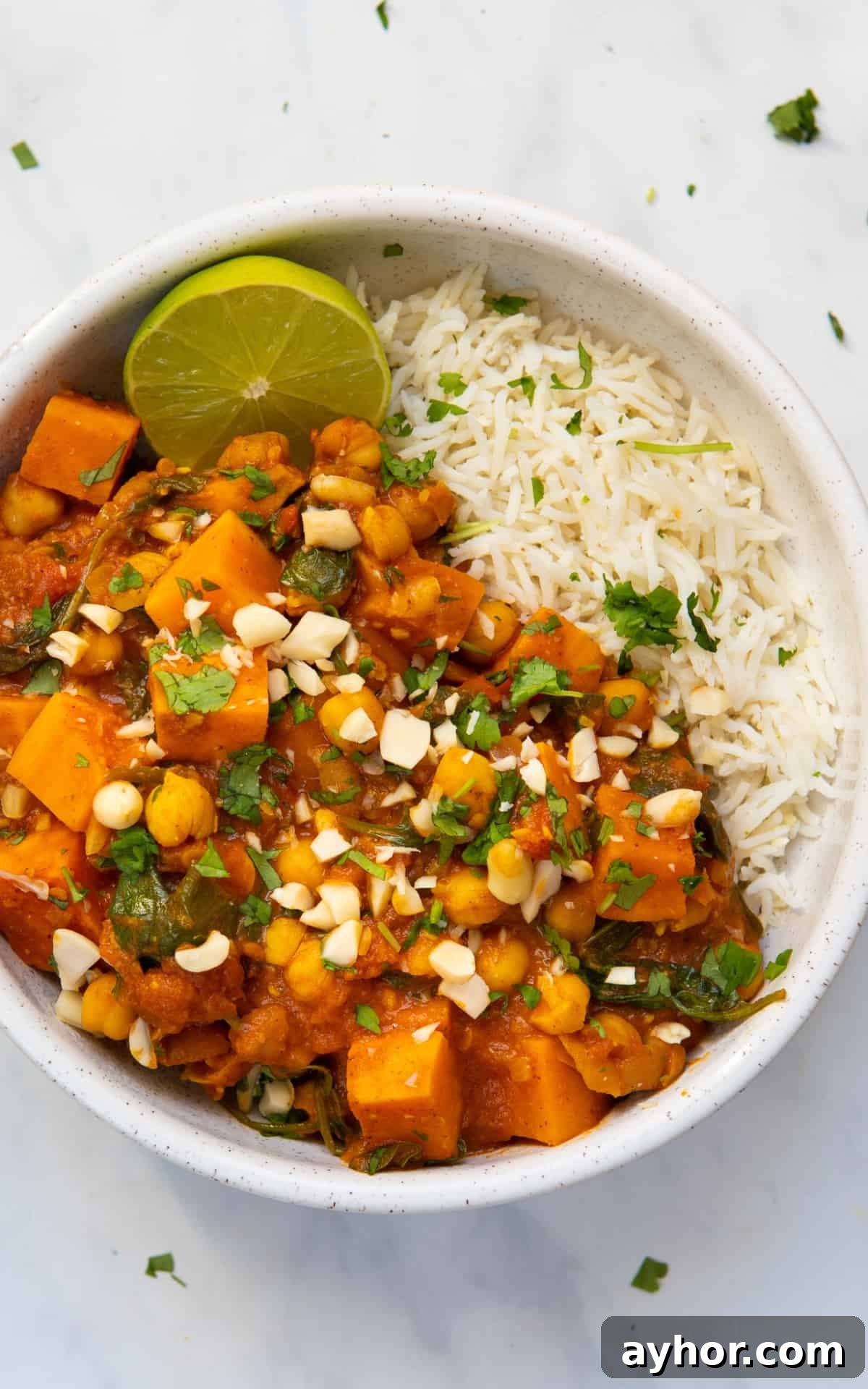 Peanut Stew served in a bowl with rice on the side.