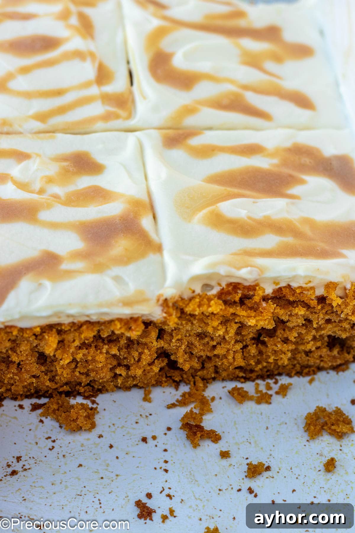 Slices cut out of pumpkin cake.