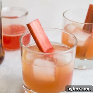 Rhubarb Bourbon Sour: Spring Cocktail Recipe with Rye Twist 13 Bourbon sours in cocktail glasses with ice cubes.