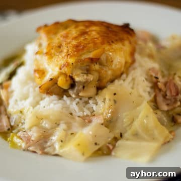 Crispy chicken thigh over cabbage, bacon and rice