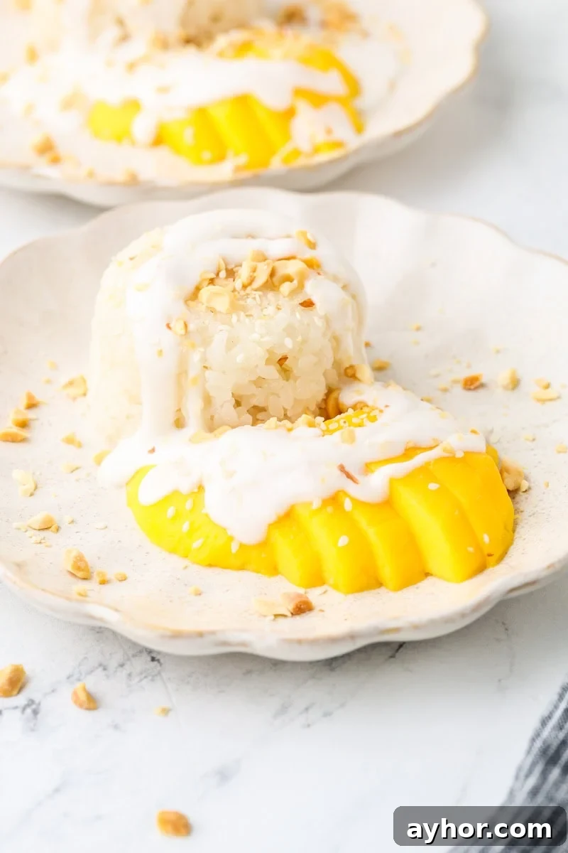 Mango Sticky Rice with Coconut Cream: Authentic Thai Dessert Recipe 2 Tall vertical shot of Thai mango sticky rice served with ripe mango slices, coconut cream drizzle, and crushed peanuts.