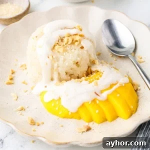 Mango Sticky Rice with Coconut Cream: Authentic Thai Dessert Recipe 14 Close-up of mango sticky rice topped with coconut cream and crushed peanuts on a plate.