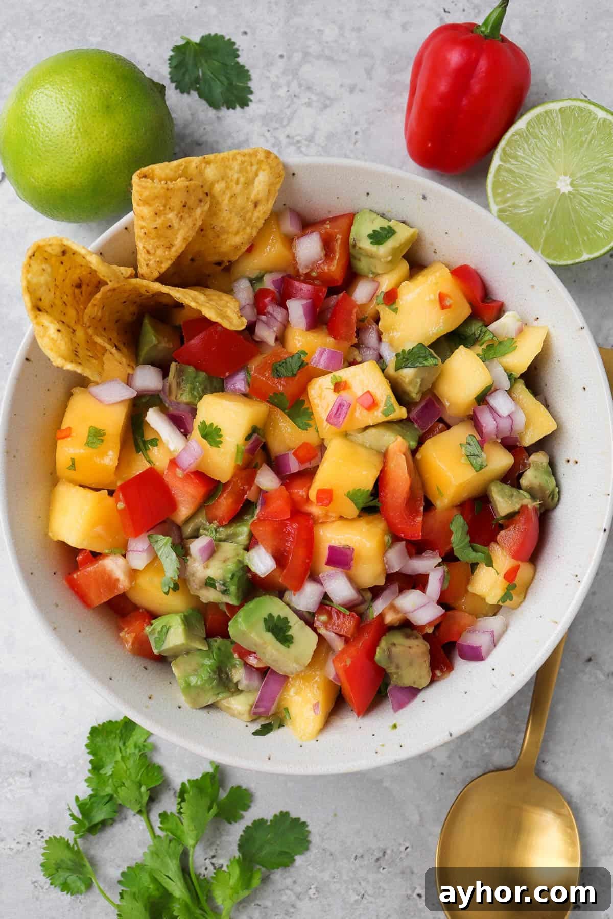 Mango salsa with corn chips.