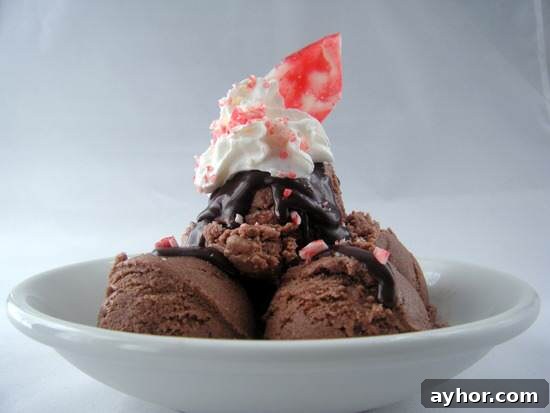 Chocolate Peppermint Snow Ice Cream recipe (How to Make Snow Ice Cream)