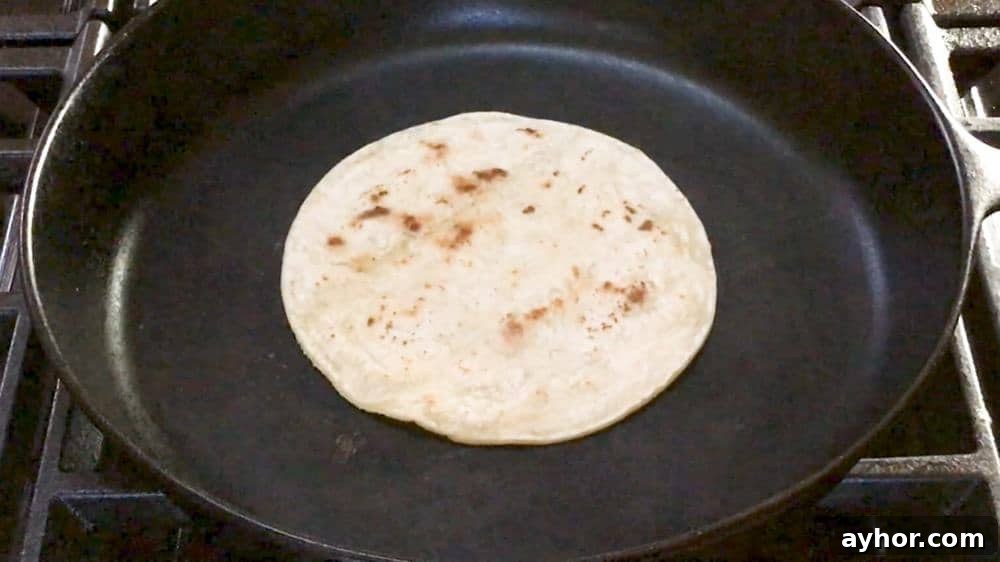 charred corn tortilla