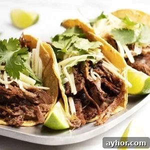 Pork Carnitas Tacos served on a metal platter