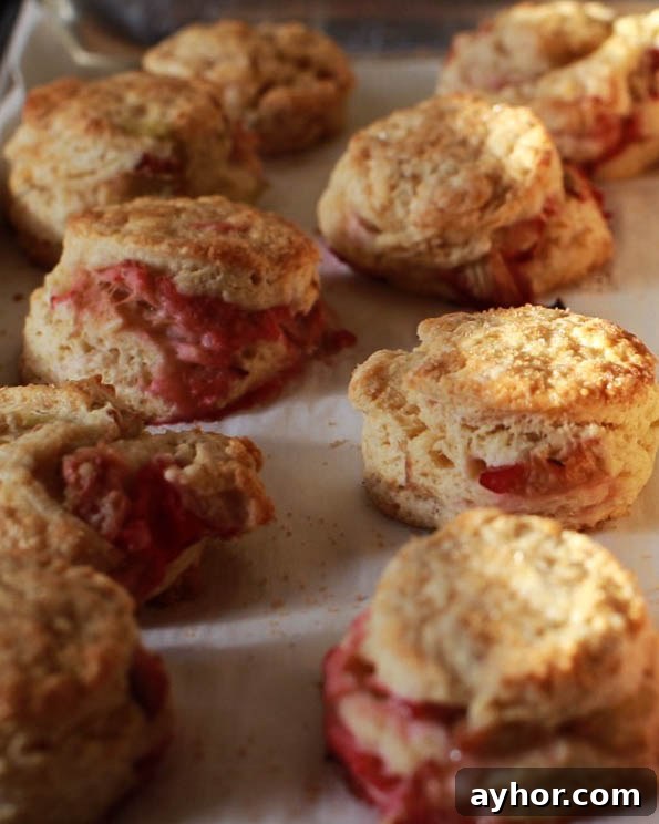Roasted Rhubarb Buttermilk Scones with Brown Sugar Glaze 3 roasted rhubarb buttermilk and brown sugar scones