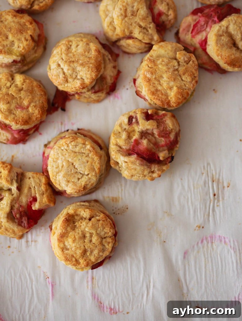 Roasted Rhubarb Buttermilk Scones with Brown Sugar Glaze 5 Roasted Rhubarb Buttermilk Brown Sugar Scones